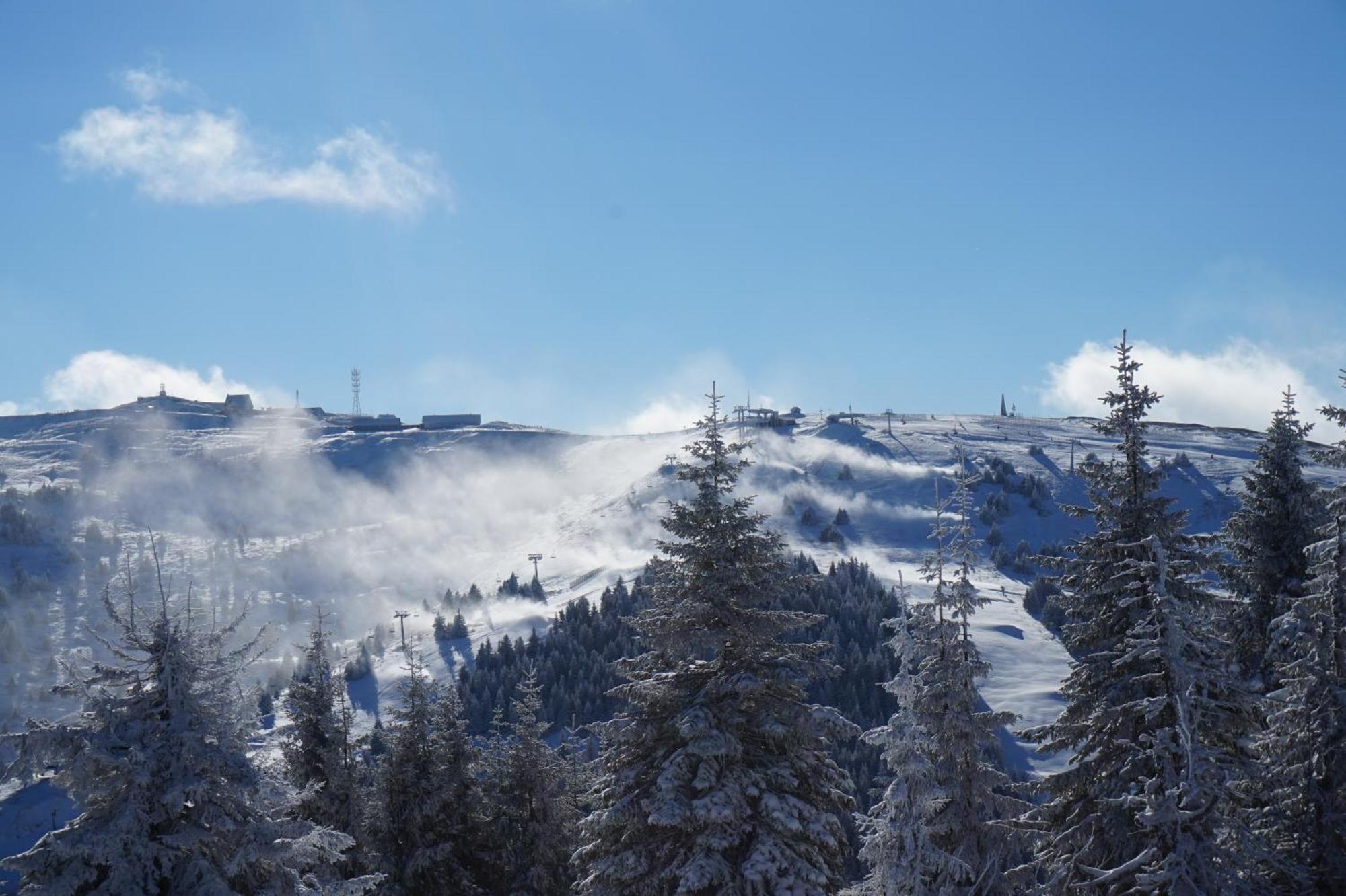 Apartmani Kraljevi Cardaci Kopaonik Zewnętrze zdjęcie